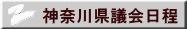 _ސ쌧c
